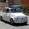 Burgio_2009 (586)